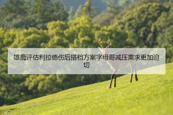 雄鹿评估利拉德伤后搭档方案字母哥减压需求更加迫切